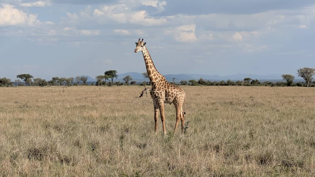Akagera National park