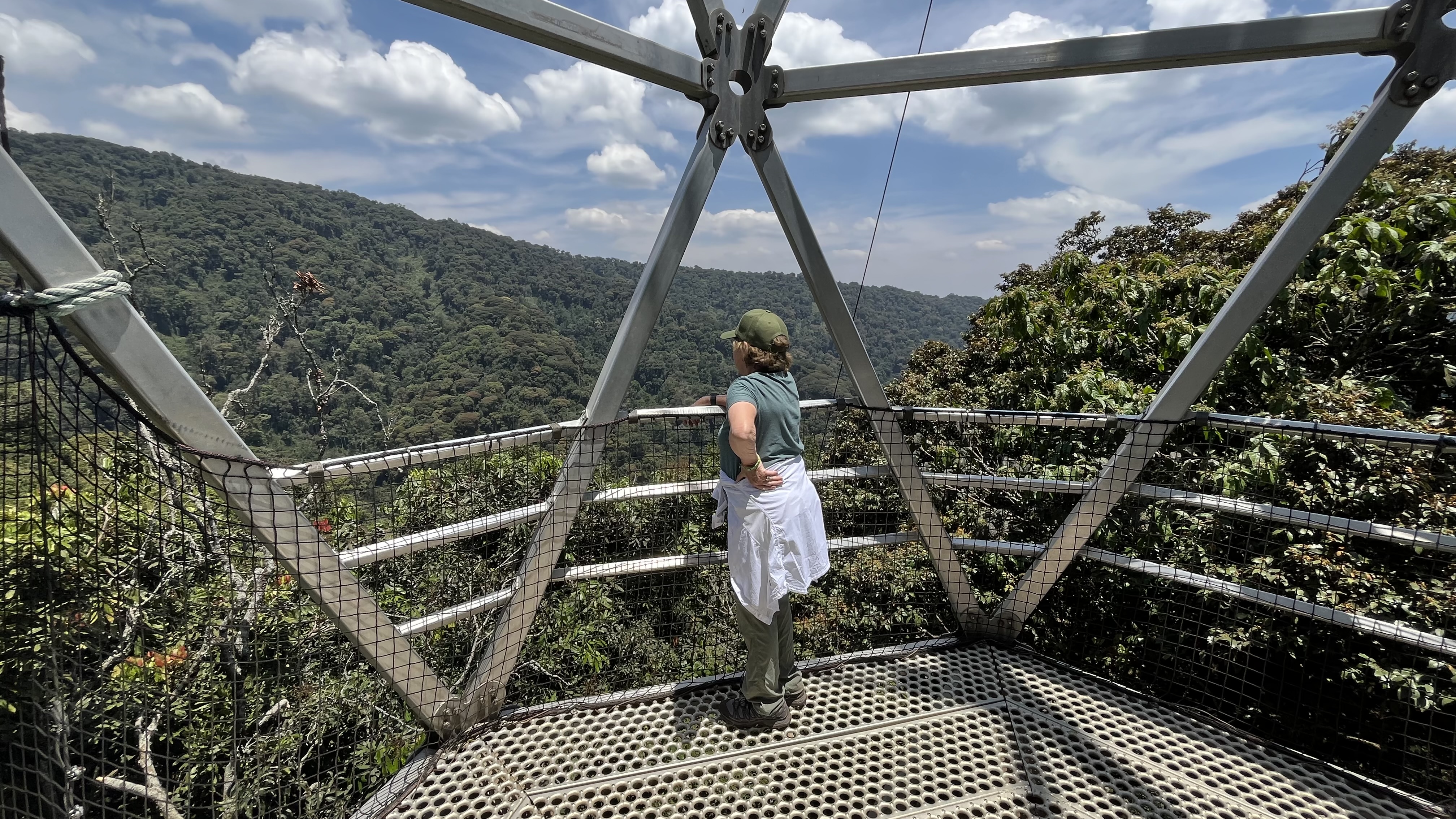 Nyungwe forest National park